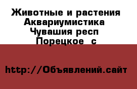 Животные и растения Аквариумистика. Чувашия респ.,Порецкое. с.